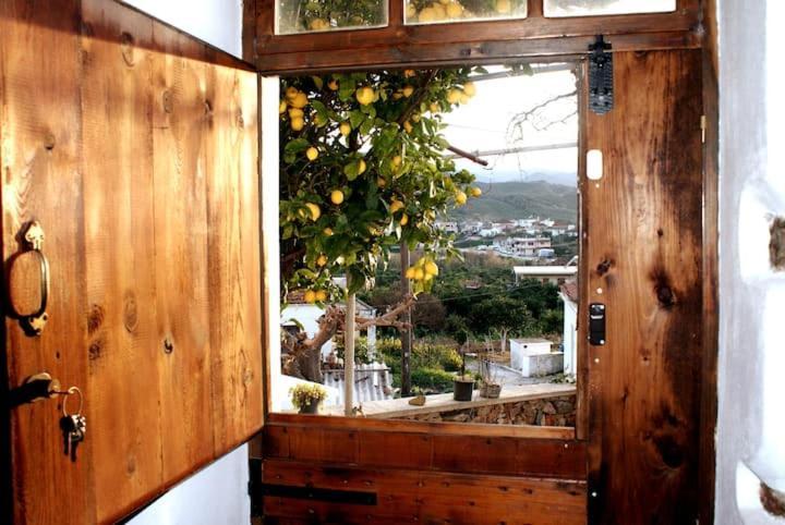 Afrodite'S House-Restaurated Oil Factory Agia  外观 照片